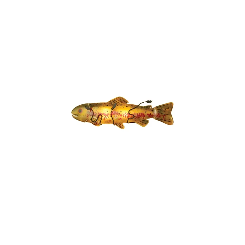 ceenwe245452