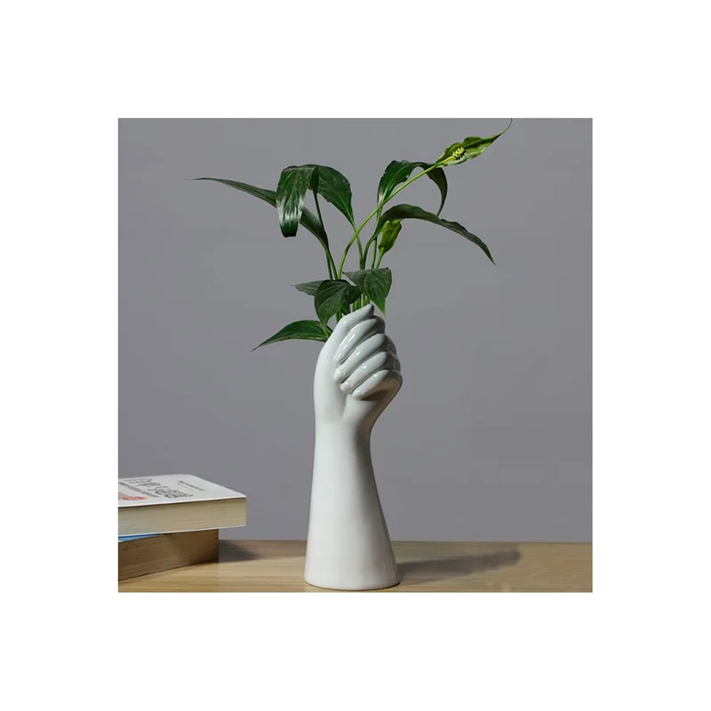 ibspot-15848854