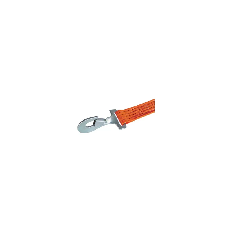 ibspot-24243477