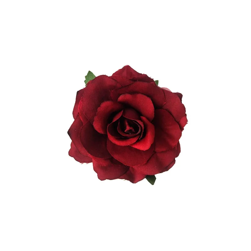 ibspot-35506033