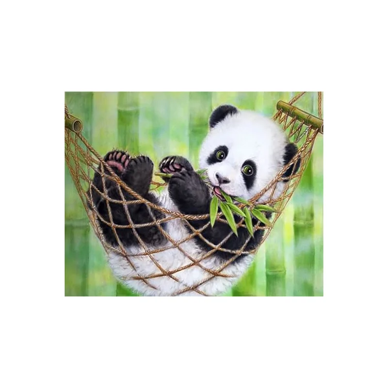 ibspot-44489146