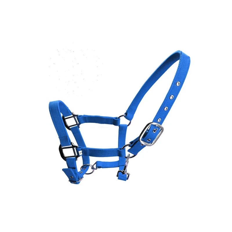 ibspot-45656821
