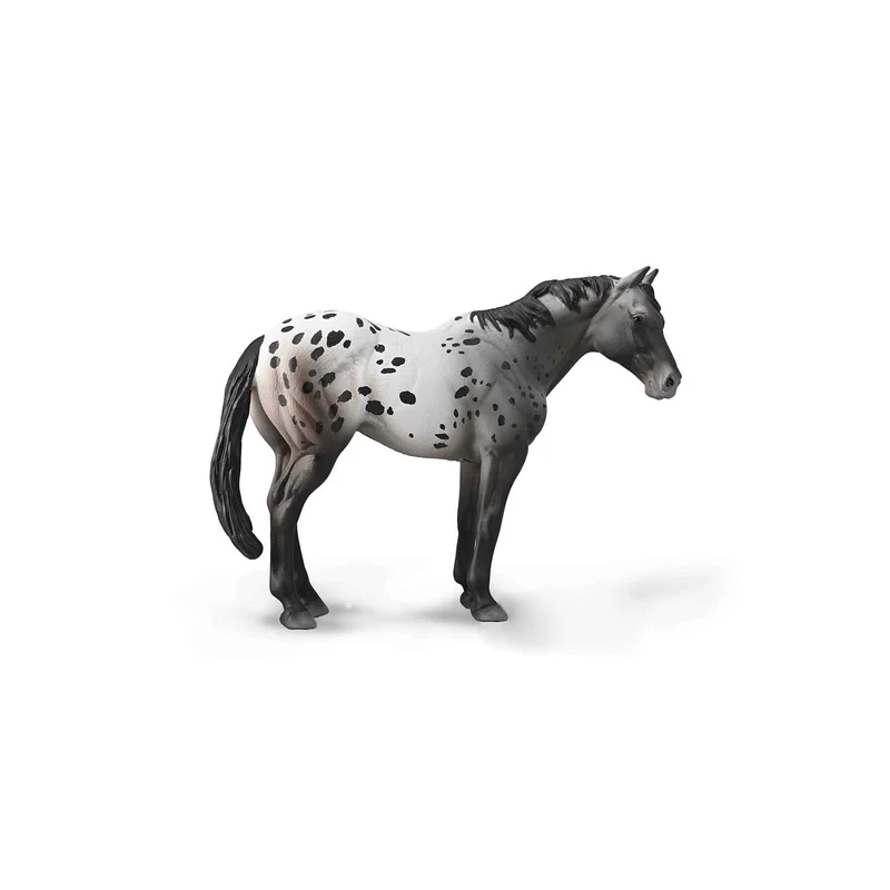 ibspot-46113281