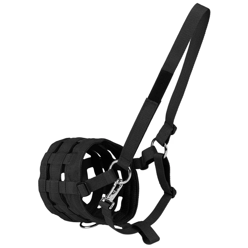 ibspot-46713435