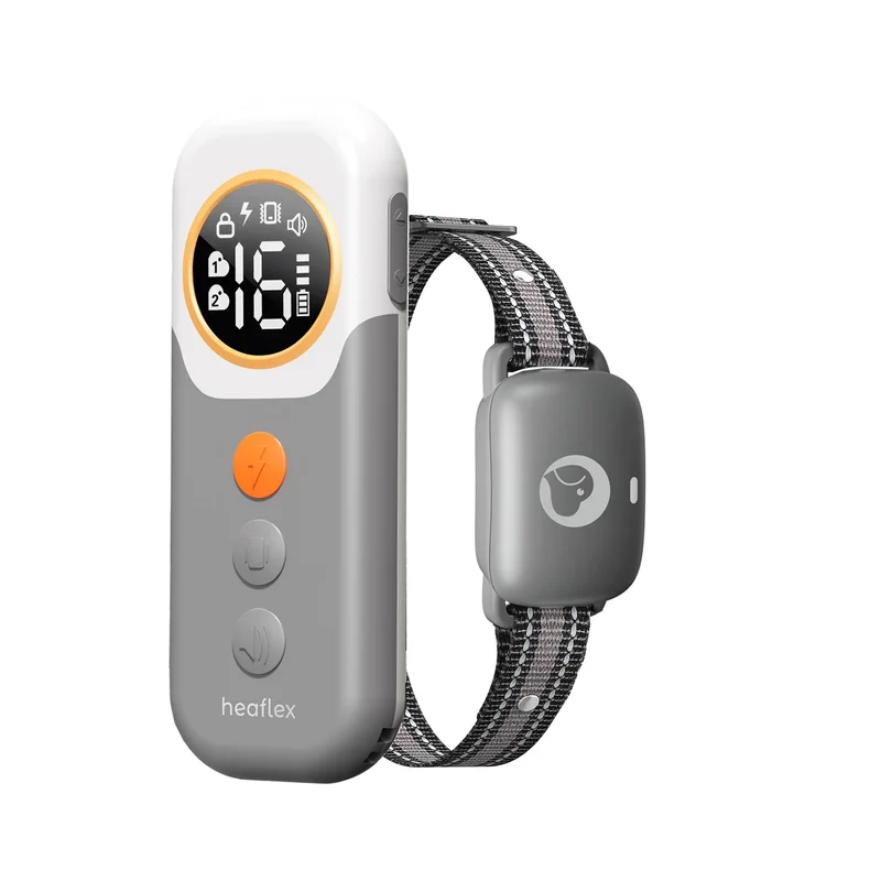 ibspot-46791025