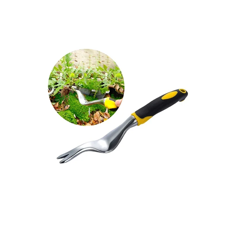 ibspot-53985990