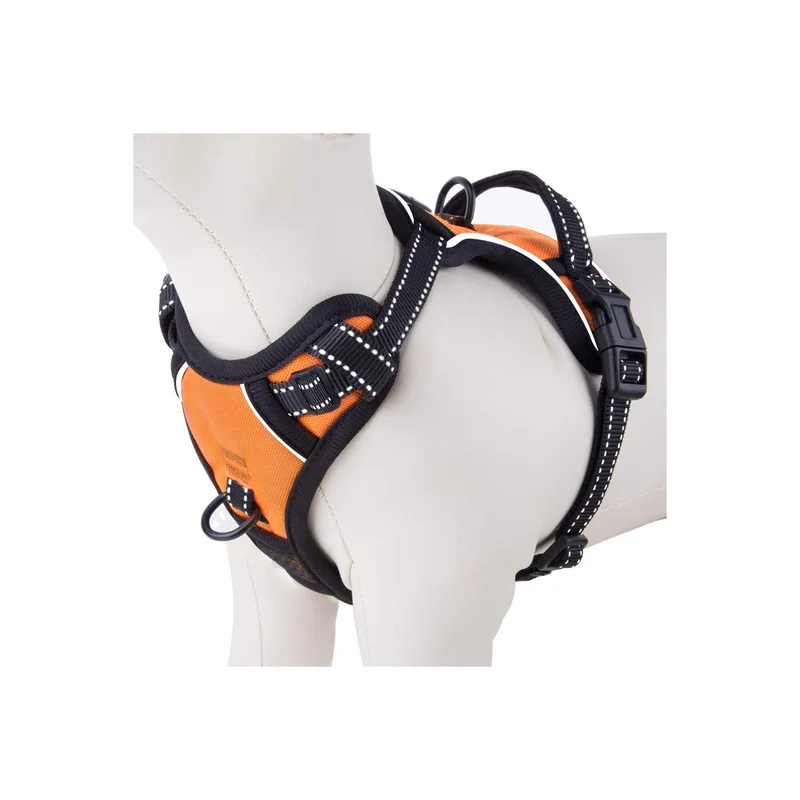 ibspot-54727206