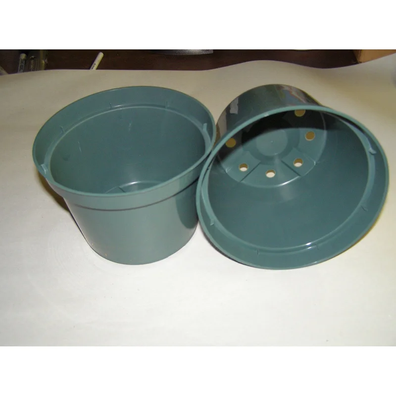 ibspot-54768258