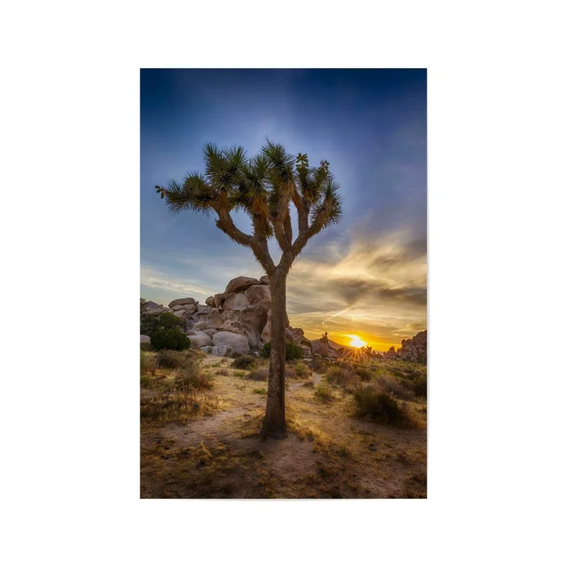 ibspot-55044310