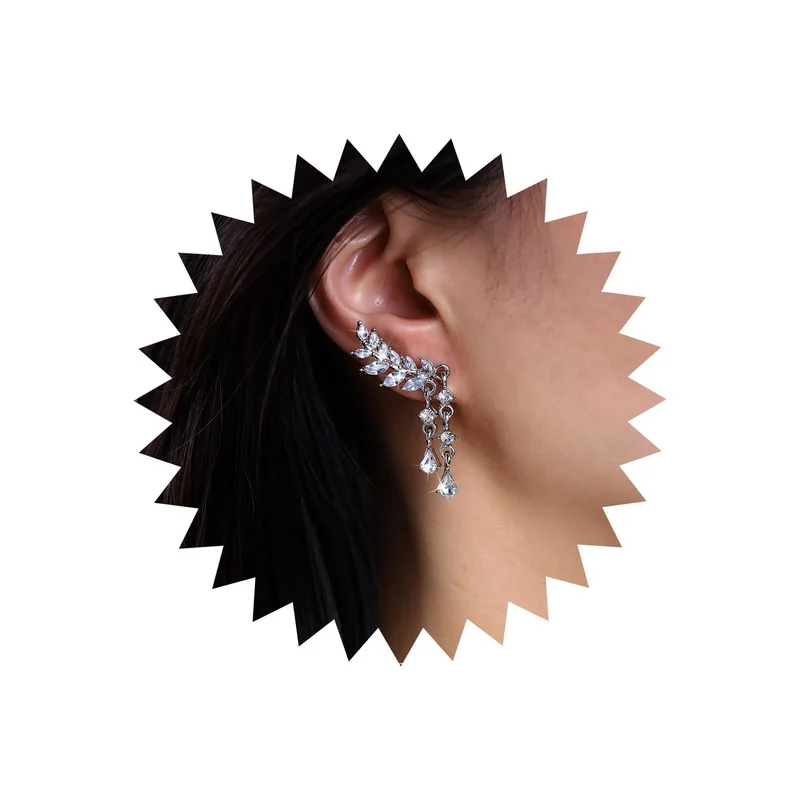 ibspot-55448708