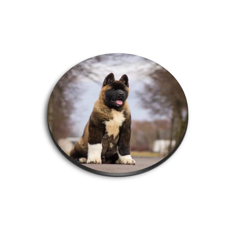 ibspot-55537583