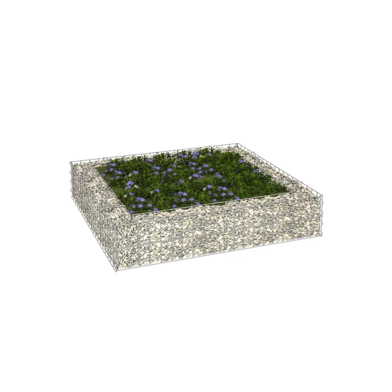 ibspot-55866237