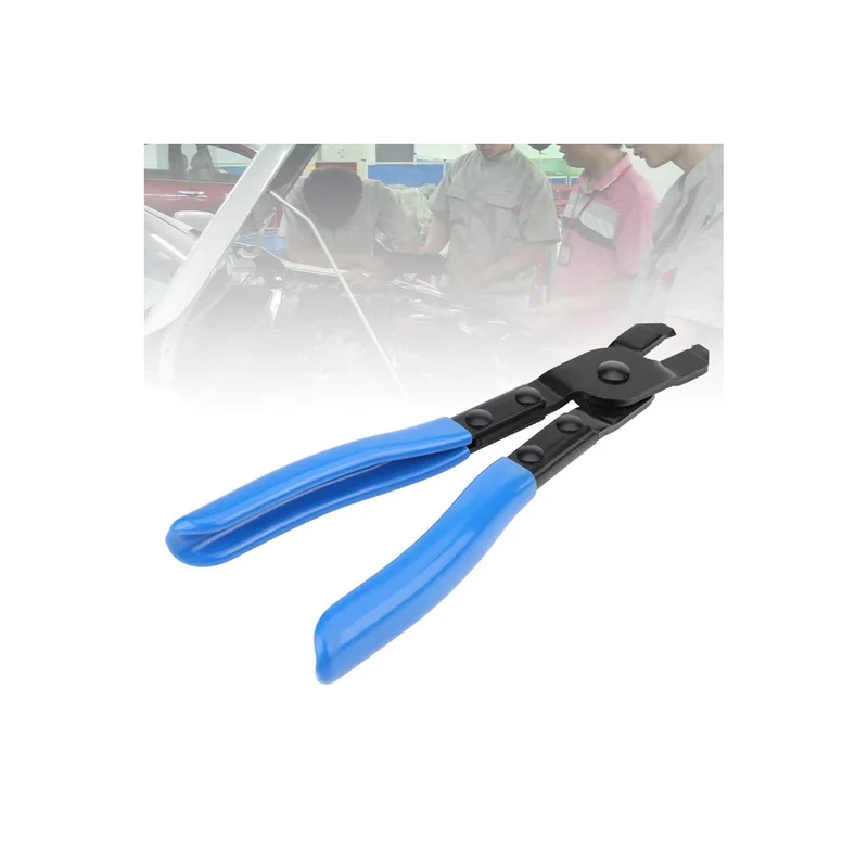 ibspot-56025969