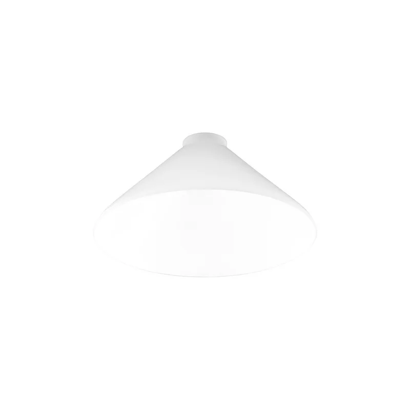 ibspot5390299