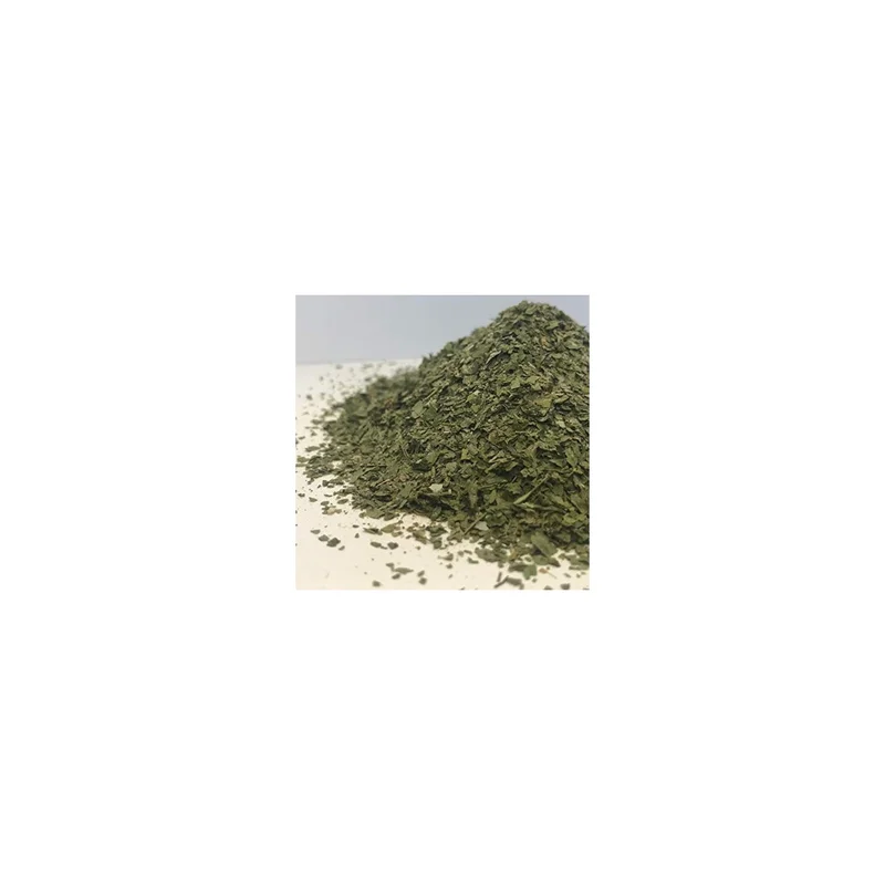 ibspot5396234