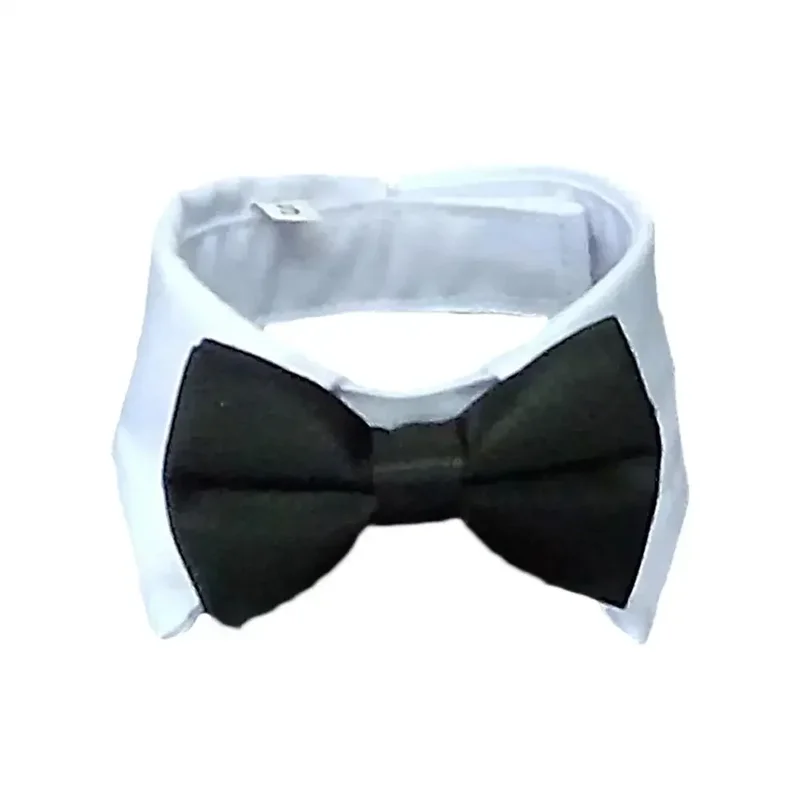 lcpshop3797897