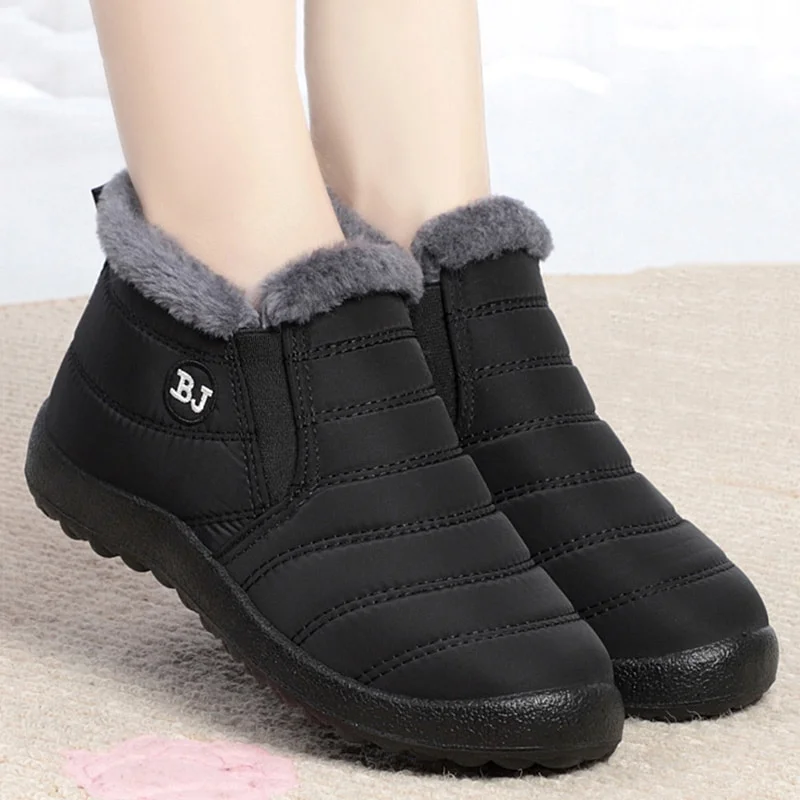 lcpshop3955027