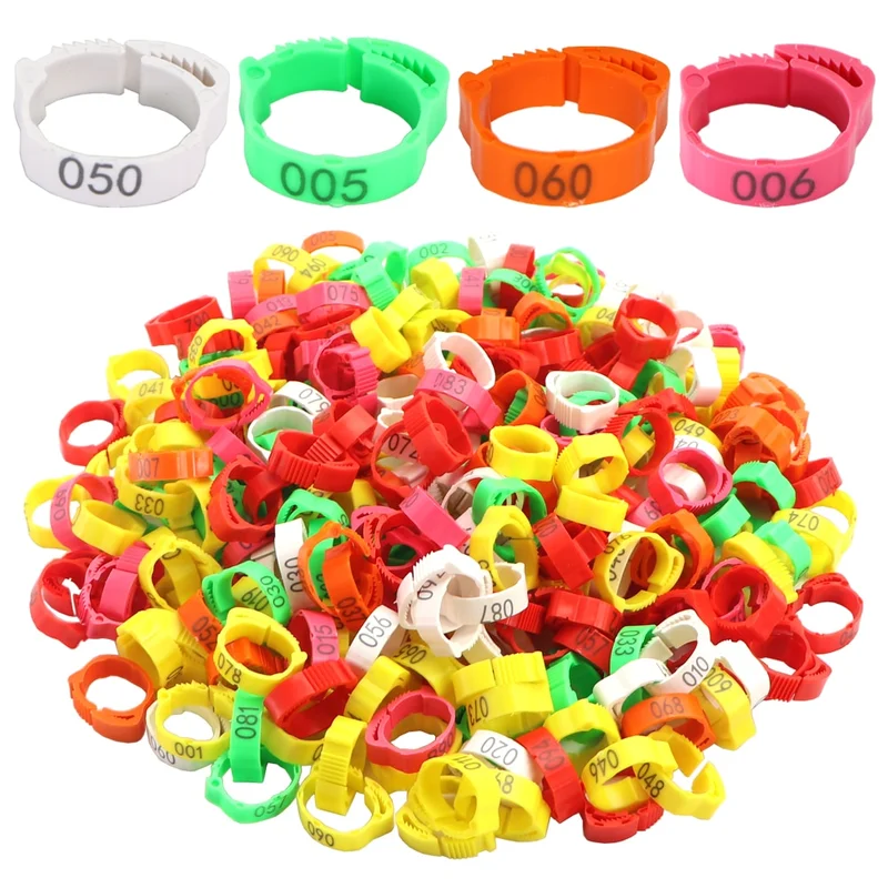 lcpshop4105998
