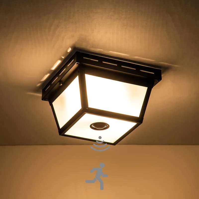 lightsdaddy120480
