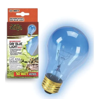 lightsdaddy134001
