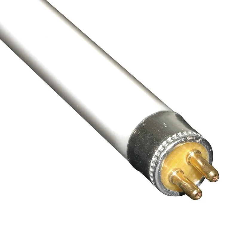 lightsdaddy178902