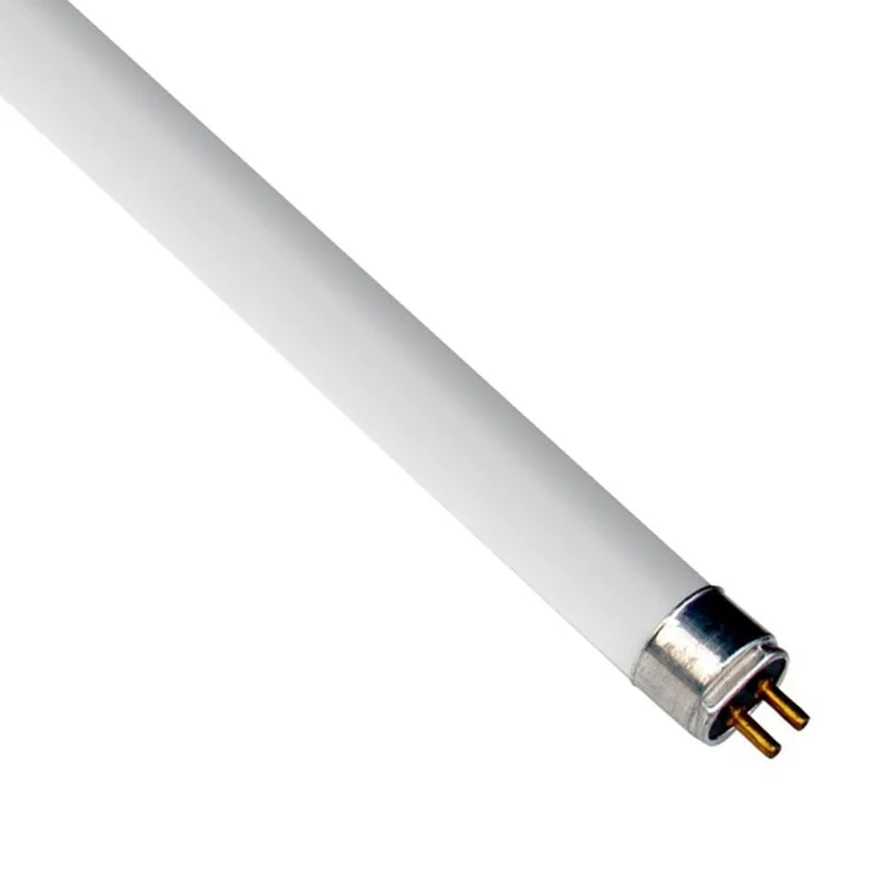lightsdaddy179398