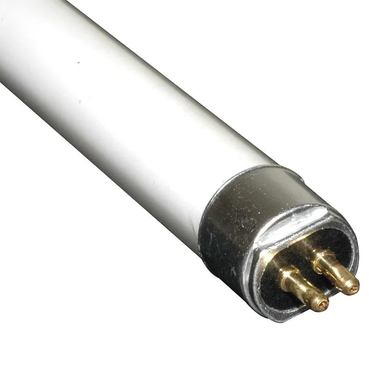 lightsdaddy179460