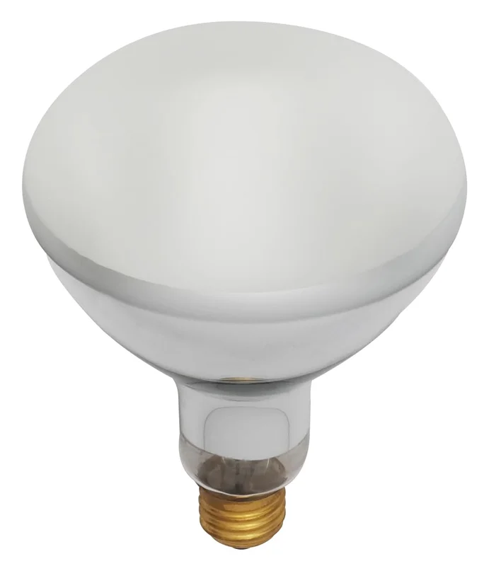 lightsdaddy190979