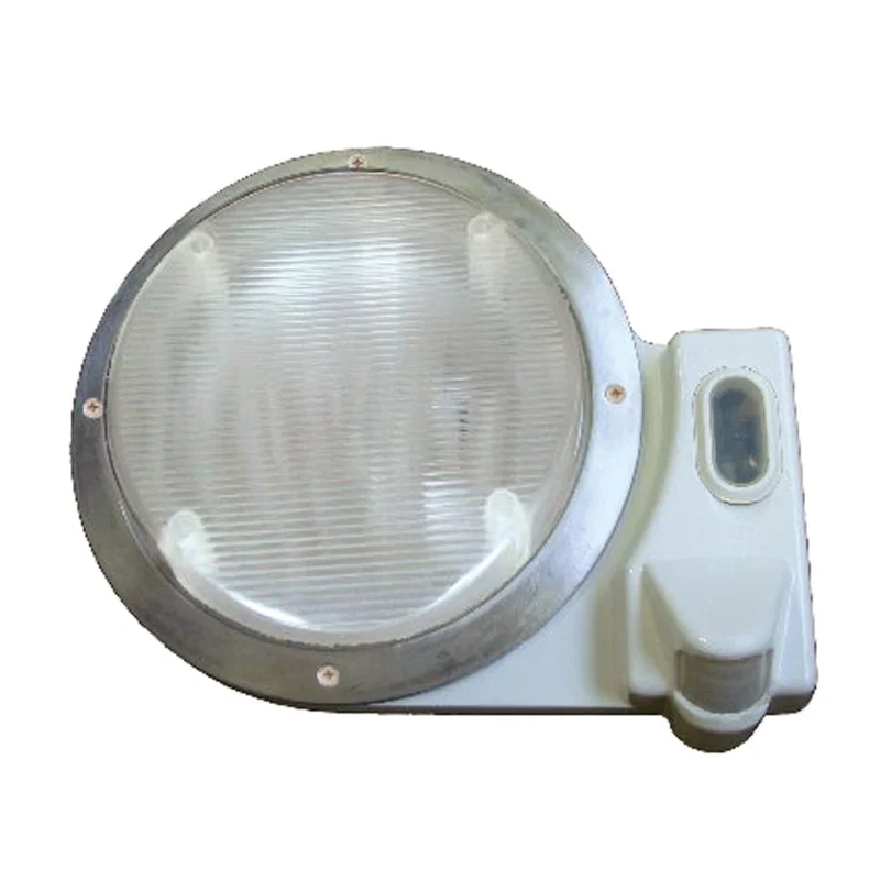 lightsdaddy202308