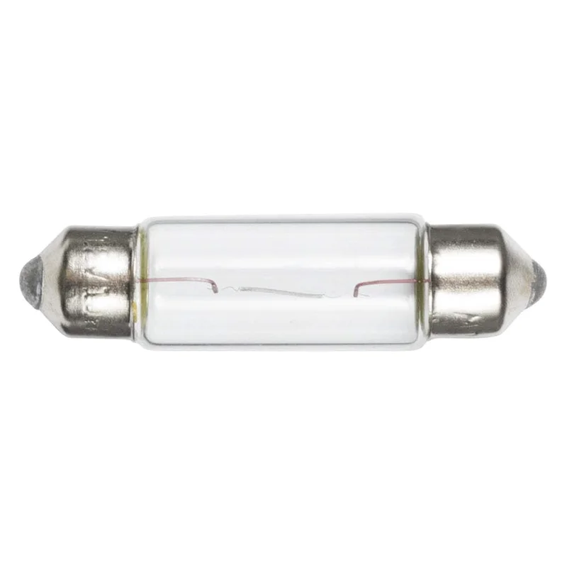 lightsdaddy202708