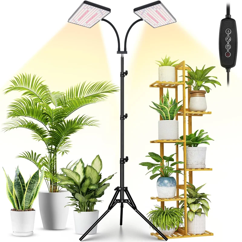 lightsdaddy241057