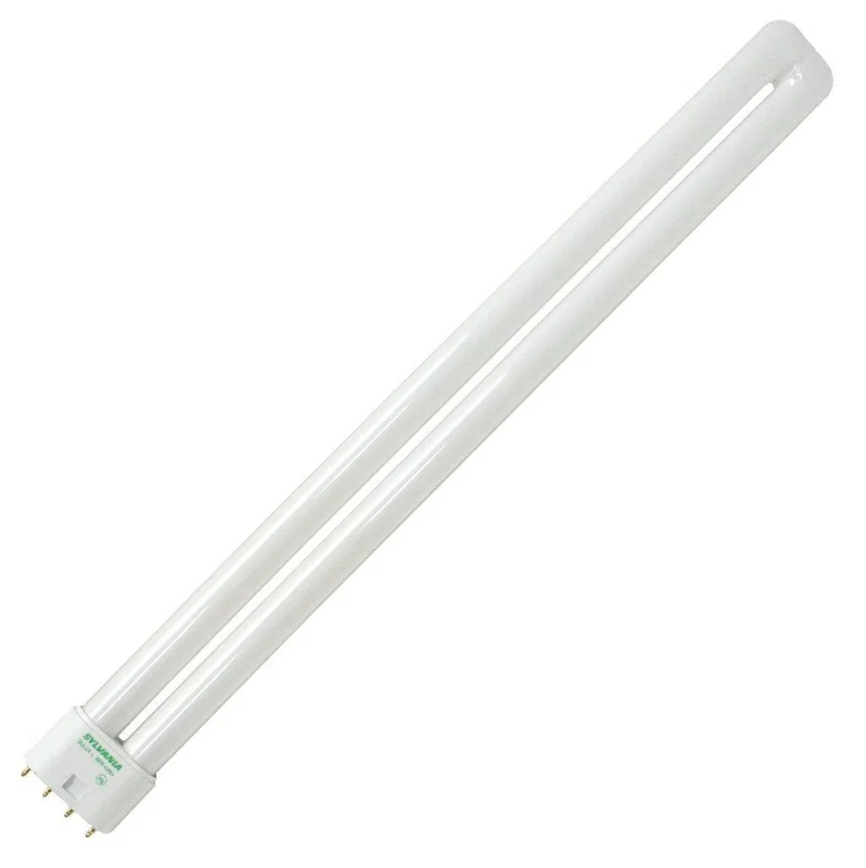 lightsdaddy243593