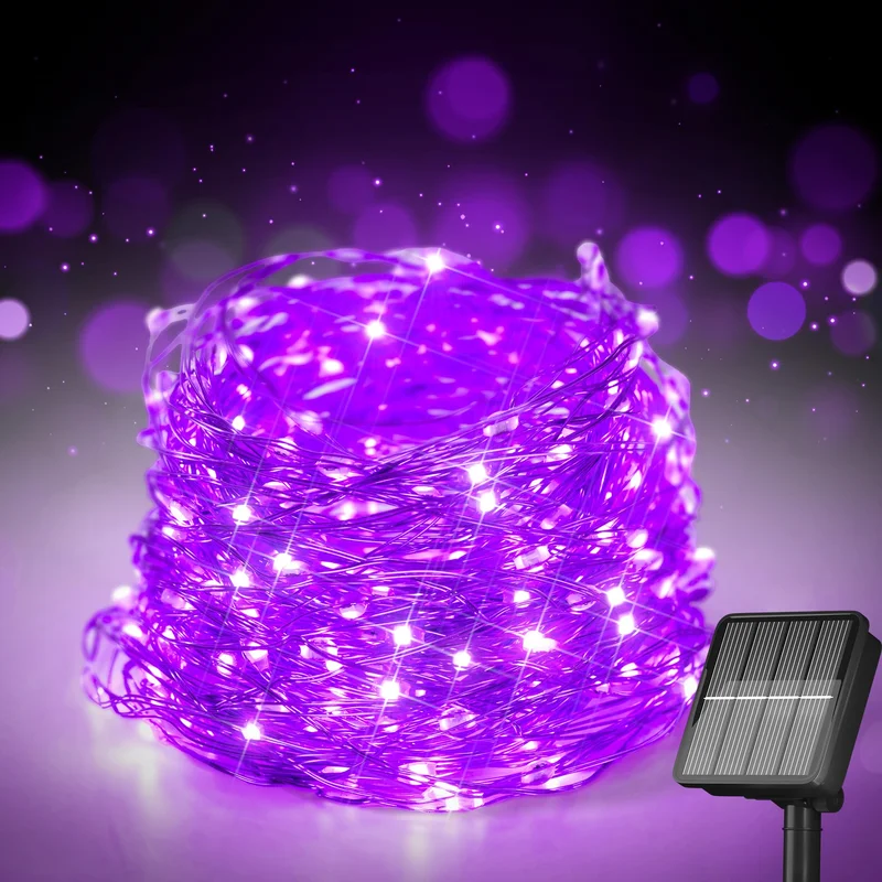 lightsdaddy245131