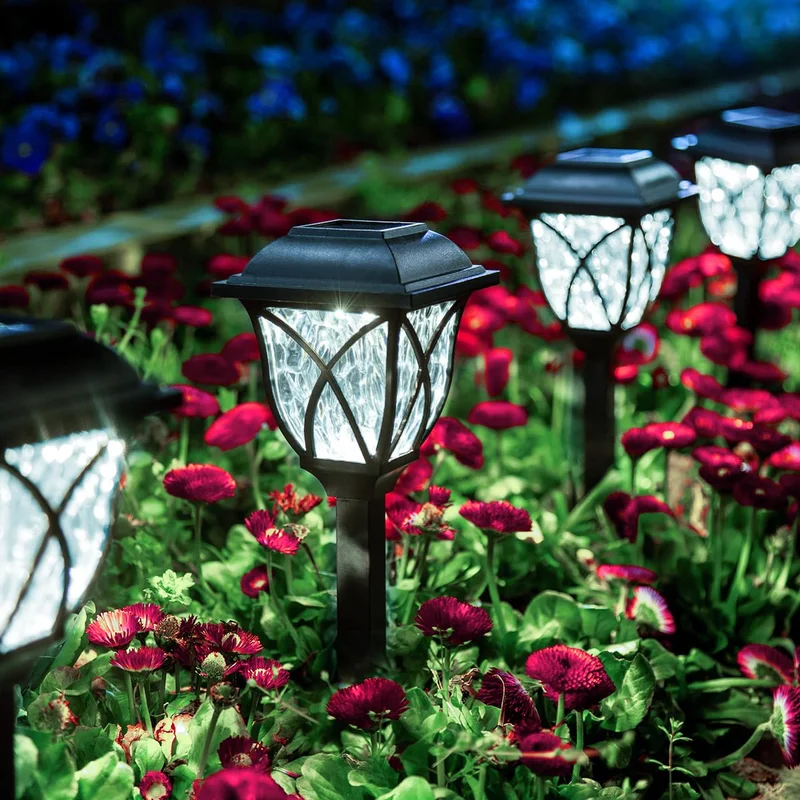 lightsdaddy260731