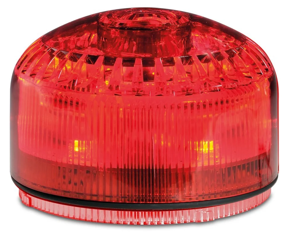 lightsdaddy310986