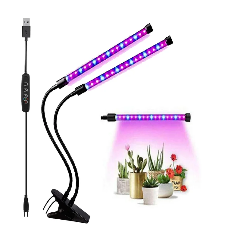 lightsdaddy320348