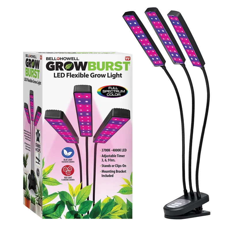 lightsdaddy341458