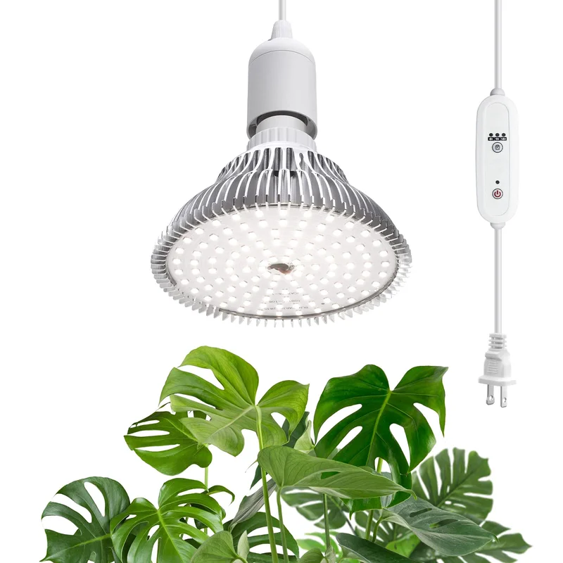 lightsdaddy345408