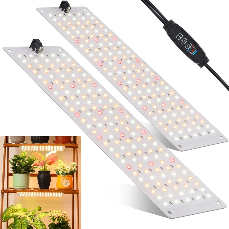 lightsdaddy349074