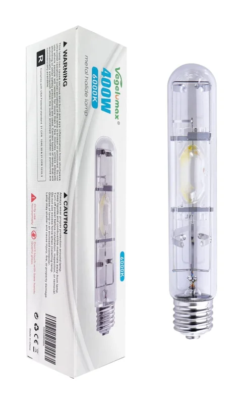 lightsdaddy354059