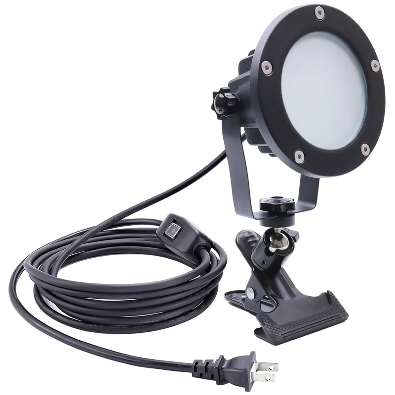 lightsdaddy365848