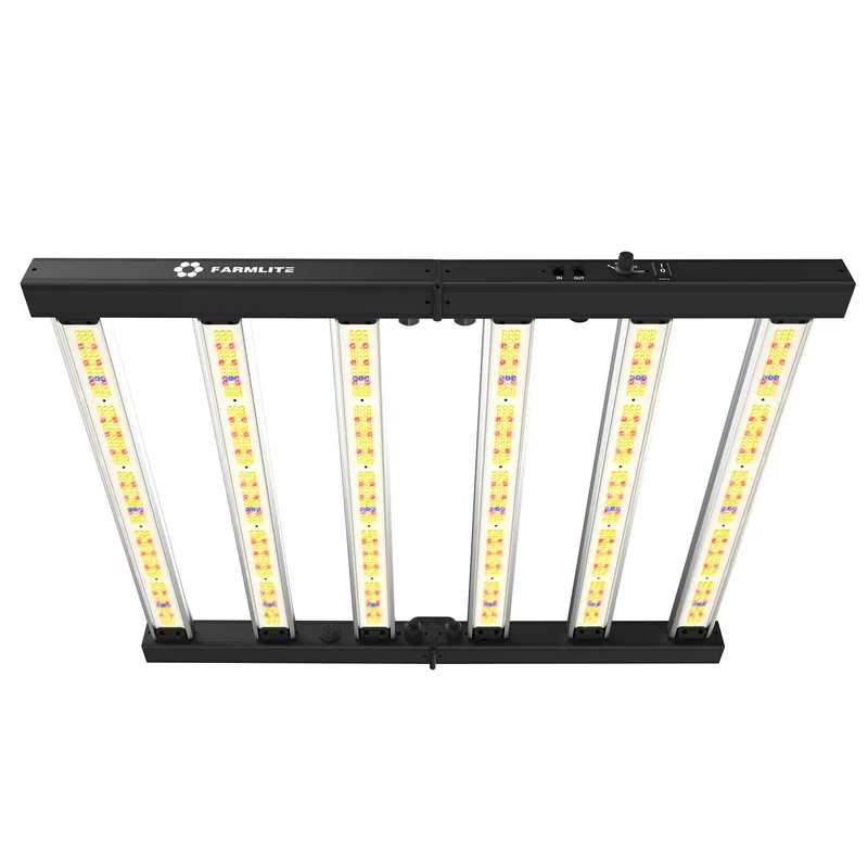 lightsdaddy386389