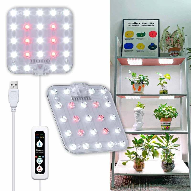 lightsdaddy393749