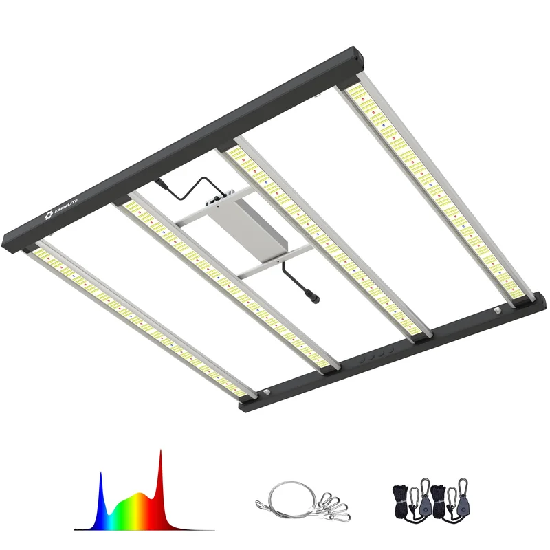 lightsdaddy401707