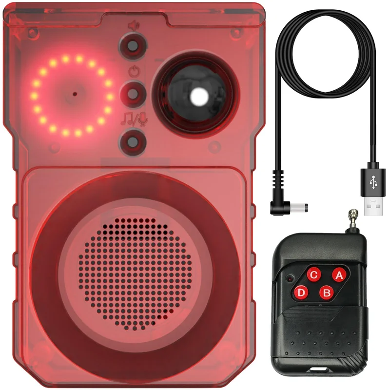 lightsdaddy408248