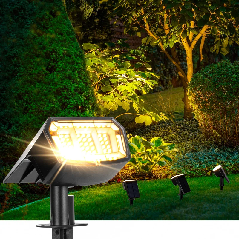 lightsdaddy447725
