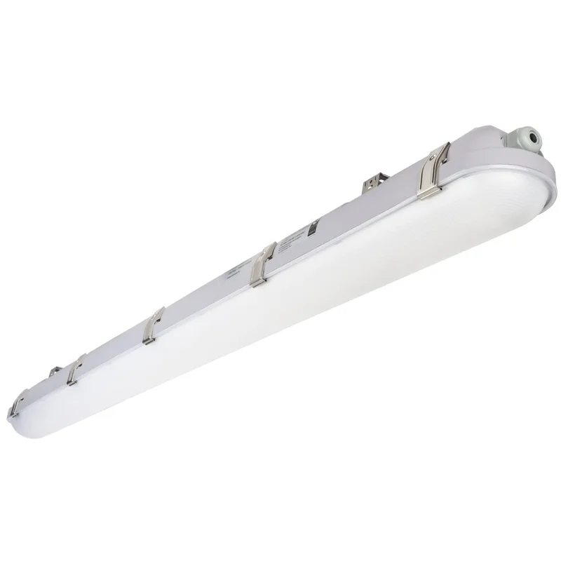 lightsdaddy519829