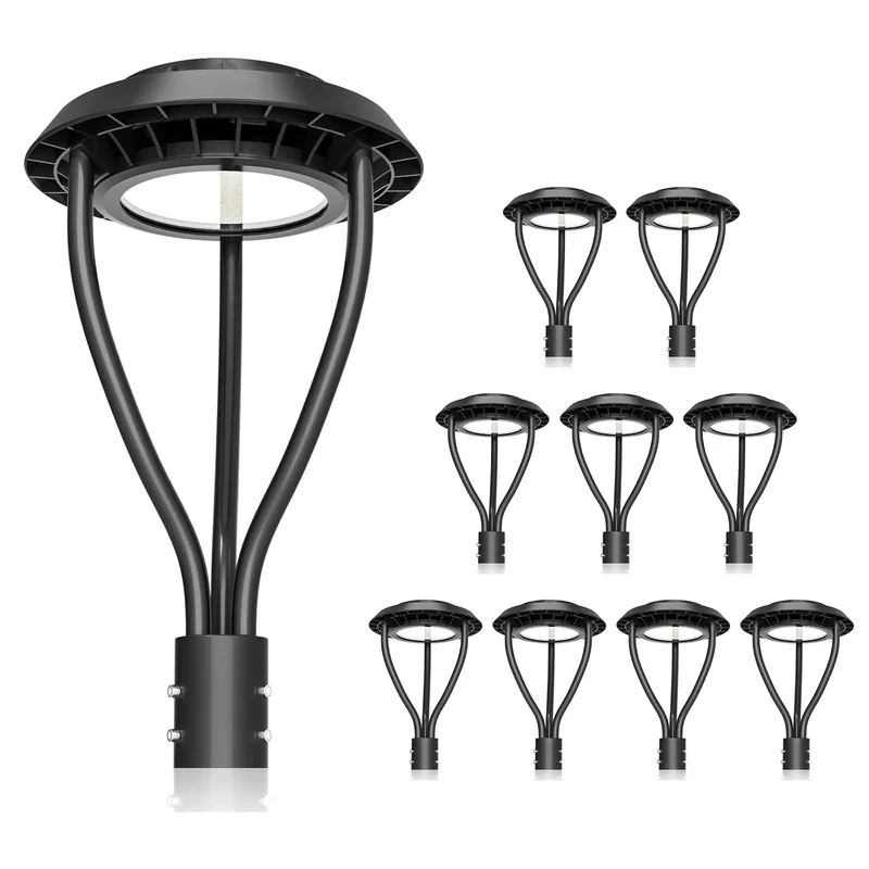 lightsdaddy547573
