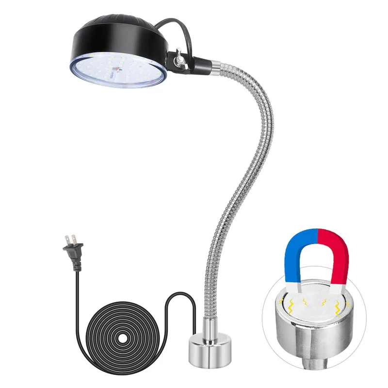 lightsdaddy602237