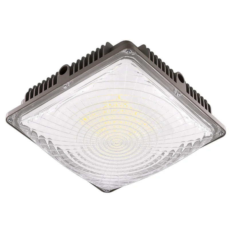 lightsdaddy603481